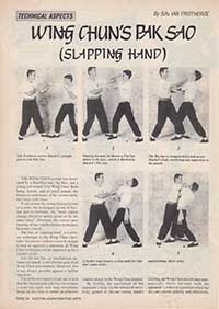 Wing Chun Pak Sao