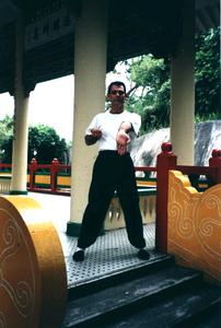 Wing Chun downward palm strike