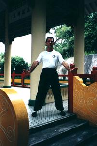 Wing Chun traditional double gum sao in neutral stance