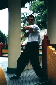 Wing Chun left elbow and setup for right bil jee