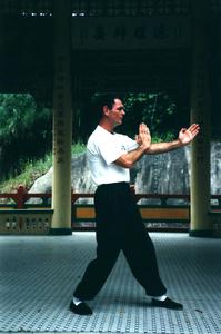 Wing Chun guard in a left front stance