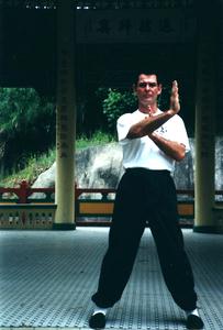 Wing Chun right pak sao in neutral stance
