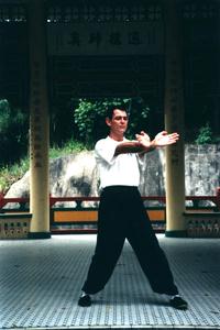 Wing Chun horizontal po pai tserng