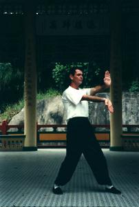 Wing Chun vertical po pai tserng