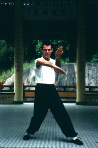 Wing Chun right quan sao in front stance