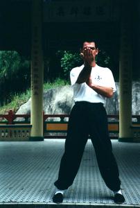 Wing Chun right tan sao in neutral stance