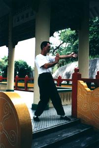 Wing Chun weung jeung