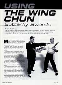 Using Wing Chun Butterfly Swords