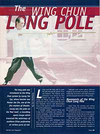 Wing Chun Long Pole