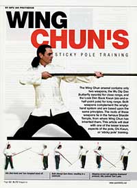 Wing Chun Sticky Pole